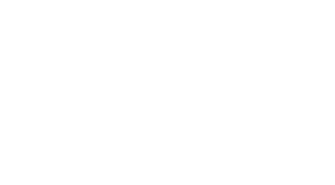 Dunder Mifflin Logo